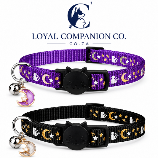 Loyal Companion Co.™ Glow-in-the-Dark Cat Collar with Bell — 2-Pack, Adjustable Nylon