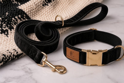 Loyal Companion Co.™ Premium Dog Leash & Collar Set