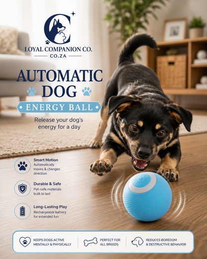 Loyal Companion Co.™ | Automatic Smart Pet Energy Ball