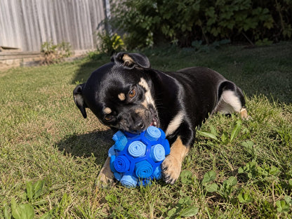 Loyal Companion Co.™ Sensory Sniff & Chew Ball — Interactive Puzzle Toy for Dogs