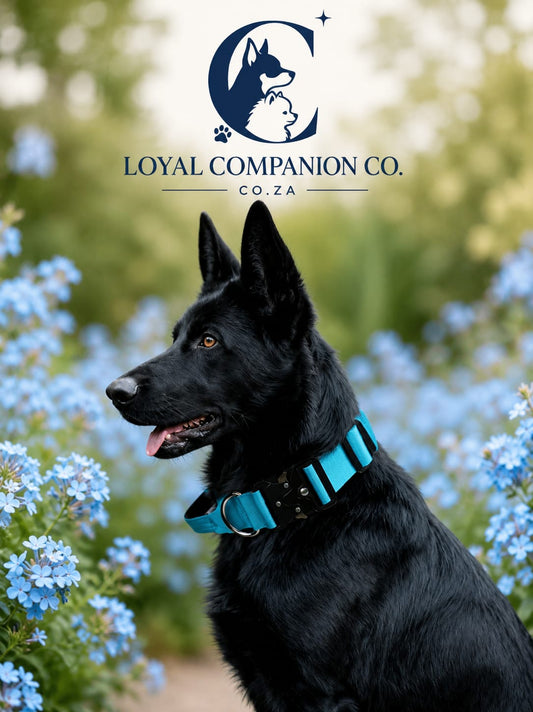 Loyal Companion Co.™ Tactical Dog Collar