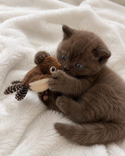 Loyal Companion Co.™ Flutter & Chirp Interactive Cat Toy — Touch-Activated Flapping Plush Bird