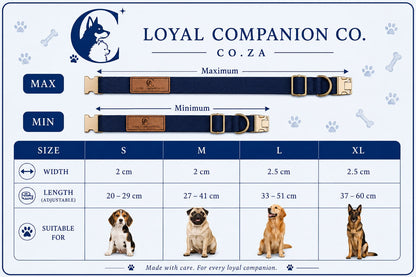 Loyal Companion Co.™ Premium Dog Leash & Collar Set