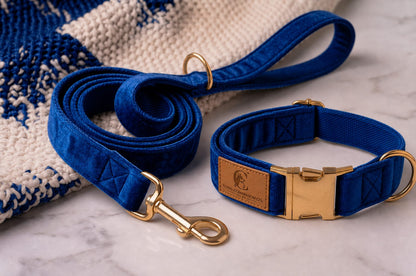 Loyal Companion Co.™ Premium Dog Leash & Collar Set