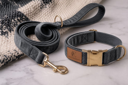 Loyal Companion Co.™ Premium Dog Leash & Collar Set