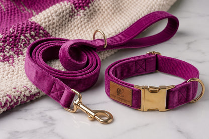 Loyal Companion Co.™ Premium Dog Leash & Collar Set