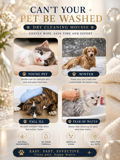 Loyal Companion Co.™ Fresh Coat — Dry Pet Dry Shampoo