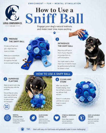 Loyal Companion Co.™ Sensory Sniff & Chew Ball — Interactive Puzzle Toy for Dogs