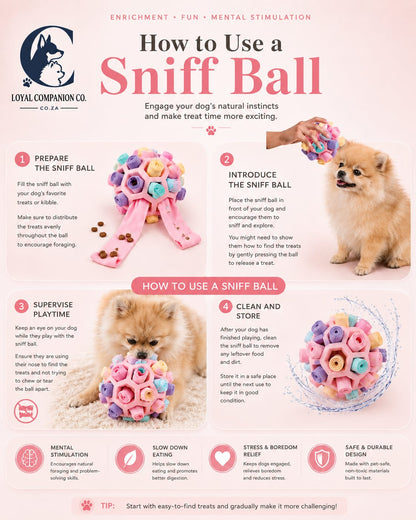 Loyal Companion Co.™ Sensory Sniff & Chew Ball — Interactive Puzzle Toy for Dogs