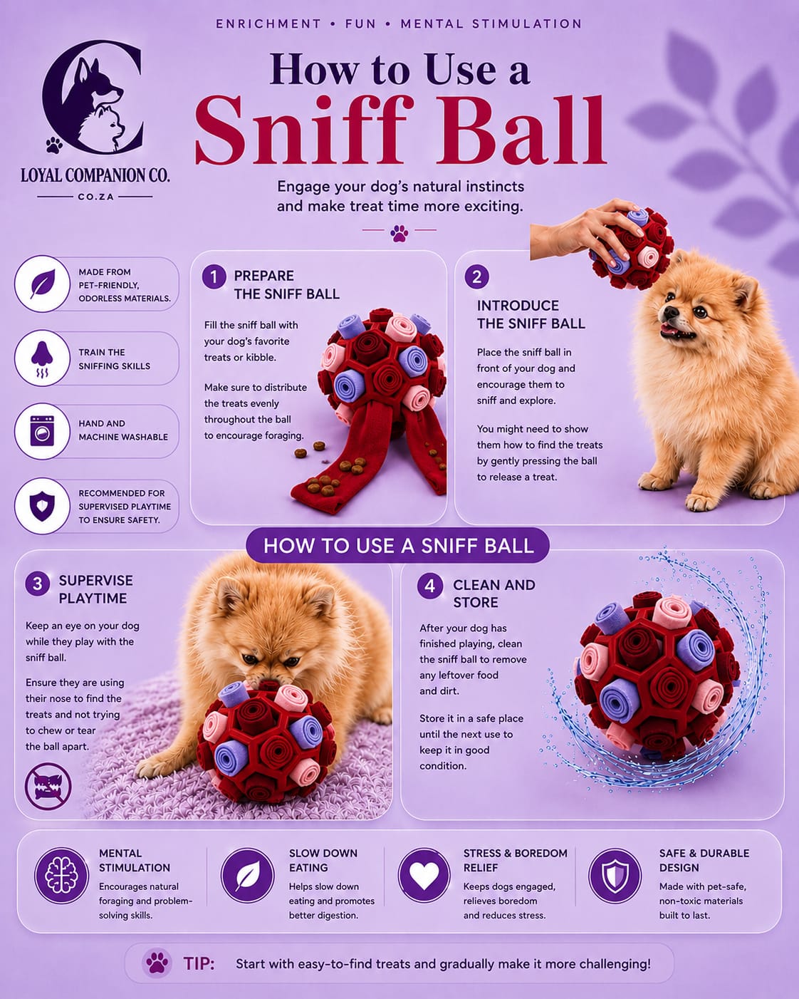 Loyal Companion Co.™ Sensory Sniff & Chew Ball — Interactive Puzzle Toy for Dogs