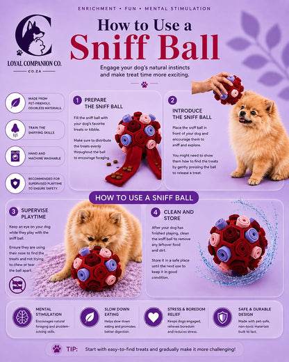 Loyal Companion Co.™ Sensory Sniff & Chew Ball — Interactive Puzzle Toy for Dogs