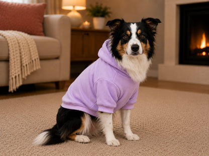 Loyal Companion Co.™ Pet Jersey — For Dogs & Cats