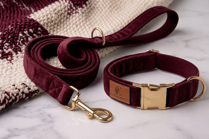 Loyal Companion Co.™ Premium Dog Leash & Collar Set