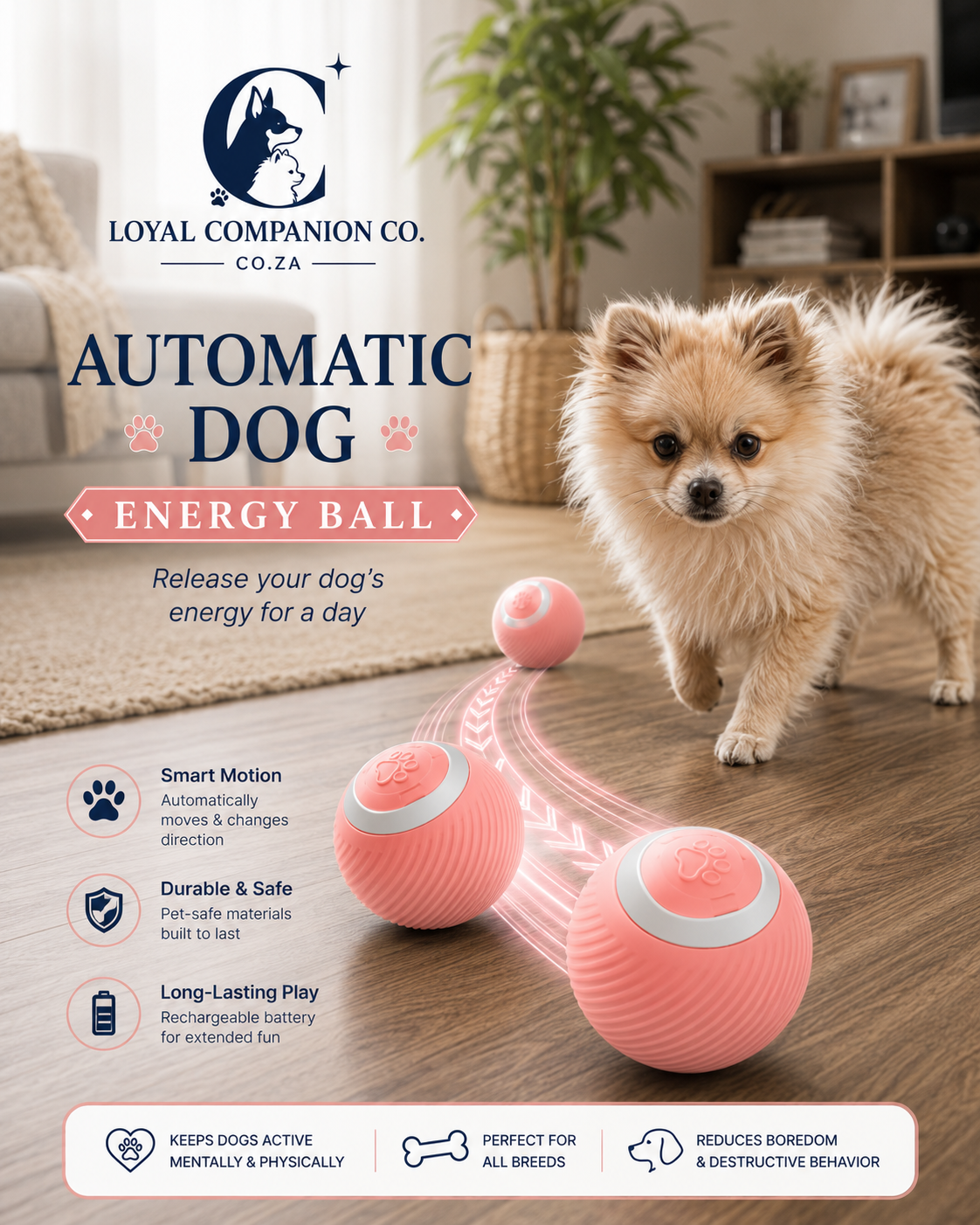 Loyal Companion Co.™ | Automatic Smart Pet Energy Ball