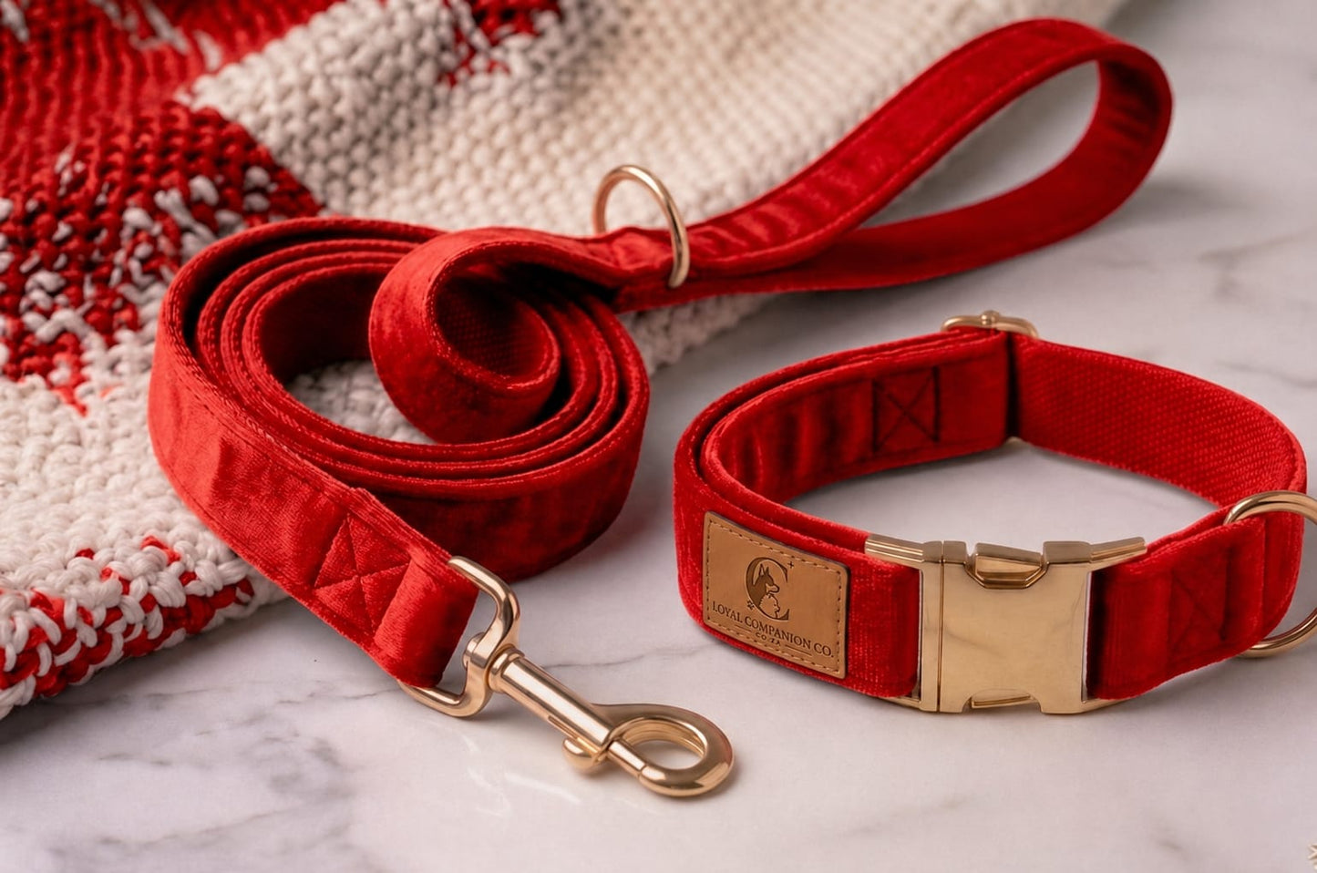 Loyal Companion Co.™ Premium Dog Leash & Collar Set