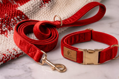 Loyal Companion Co.™ Premium Dog Leash & Collar Set